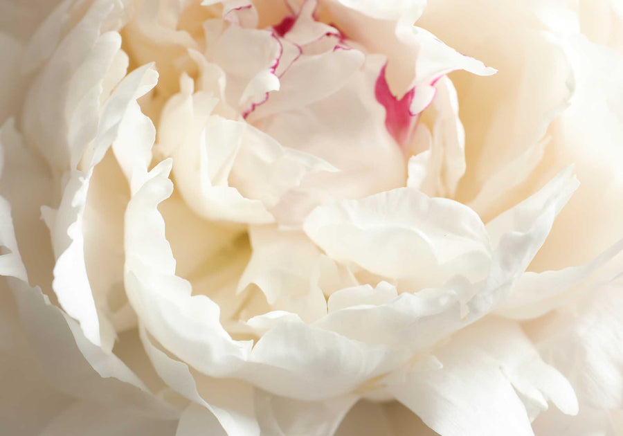 Smoothing Eye Cream